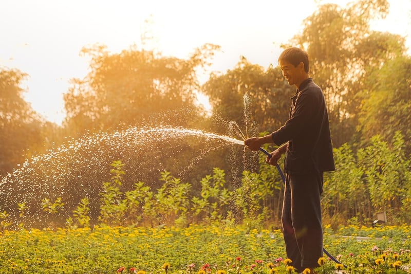 Garden Fertilizing